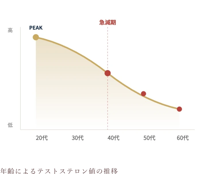 年齢によるテストステロン値の推移。40代以降、急激に減少することがあります